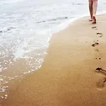 Stella Di Mare - Cà Savio