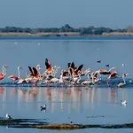 Stella Di Mare - Cà Savio