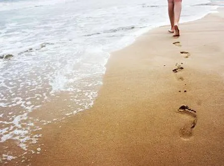 Stella Di Mare - Ca Savio