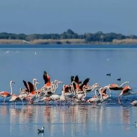 Stella Di Mare - Ca Savio Appartement Cavallino-Treporti