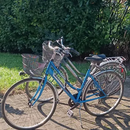 Stella Di Mare - Ca Savio