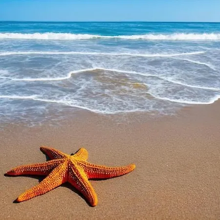 Apartamento Stella Di Mare - Ca Savio *