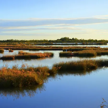 Stella Di Mare - Ca Savio *