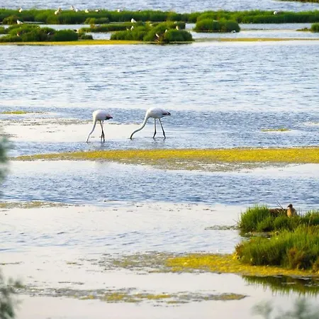 Stella Di Mare - Ca Savio Cavallino-Treporti