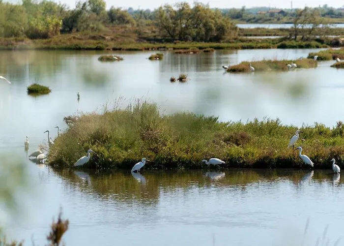 Stella Di Mare - Ca Savio Lägenhet Cavallino-Treporti