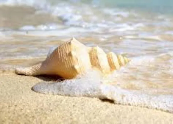 Διαμέρισμα Stella Di Mare - Ca Savio