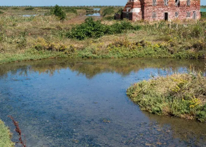 Stella Di Mare - Ca Savio Lägenhet Cavallino-Treporti