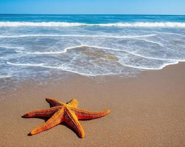 Διαμέρισμα Stella Di Mare - Ca Savio *