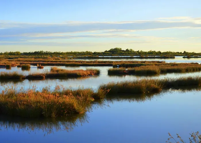 Stella Di Mare - Ca Savio *